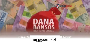 Pantau Status Penerima Bansos PKH dan BPNT Hanya dari Ponsel Anda Sekarang!