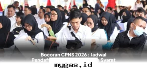 Panduan Lengkap Pendaftaran CPNS 2026, Cek Syarat dan Rincian Formasi Terbaru di Sini!