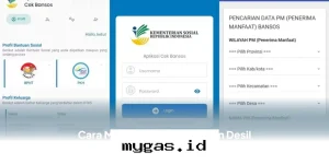 Panduan Praktis Memperbaiki Data Desil Bansos Mei 2026 agar Bantuan Tepat Sasaran